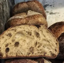 Boudin's Bakers San Francisco sourdough starter maintained since 1849