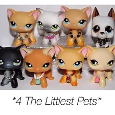 ðLittlest Pet Shop accessories clothes 3pc random collars LPS CAT NOT INCLUDED