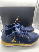 Size 12.5 - Jordan Trainer 1 Low Michigan (RARE)