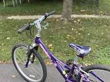 Kid’s Trek Mountain 220 Bike - 24inch Tires - In Great Condition!