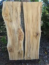 Ambrosia / Wormy Maple Slabs Spalted 2 (Live Edge) River Table Set, Thick Slabs