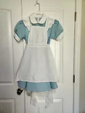 Alice in Wonderland costume size M, Unbranded from Amazon