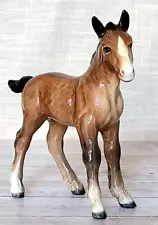 Beswick Rare Early Large Shire Foal Beautiful Vintage Brown Gloss Model No. 951