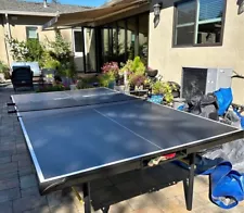 Ping Pong Table