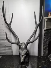 Axis deer antlers European mount for sale