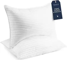 Beckham Hotel Collection White Standard Bed Pillows Queen Size Set Of 2