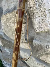 Leather Handle Stained Wood 54” Carved Walking Stick #2D