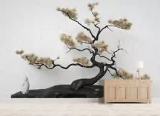 ebay bonsai trees for sale