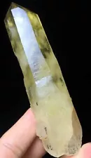 108g RARE Natural yellow Tibet Himalayan citrine Lemurian Crystal Point D651