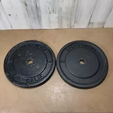 2 X 25 LB Standard Size Weight Plates SPORTSWAYS Mismatched