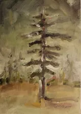 WHITE PINE at COPPER HARBOR Michigan Oil Painting 2018 J RODWAN 5"x7" Keweenaw