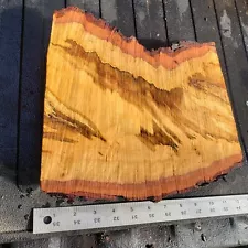 Beautiful Spalted Maple rough cut slab for crafting, Fresh Cut Live Edge