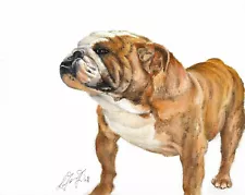 ❈ Original Oil Portrait Painting BULLDOG Artist Signed Artwork ENGLISH PUPPY DOG