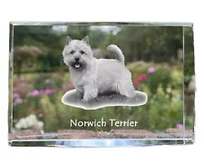 Norwich Terrier - Crystal with A Little, Picture IN Glas, Modern Ausstellun