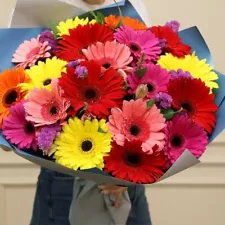 Gerbera Seeds Mix Perennial flowers from Ukraine 5 pcs.