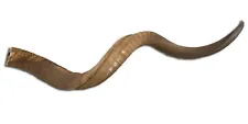 1 Kudu Horn Natural Large African Antelope Kudu Horn for Shofar Deer Antler