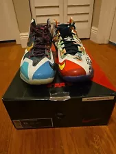 Size 13 - Nike LeBron 11 Premium What The LeBron 2014