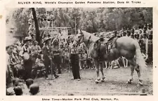 circa 1920 Silver King Palomino Stallion trick horse postcard, Morton PA