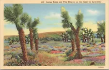 Linen PC * California Joshua Trees & Wild Flowers Beautiful Desert Scene 1940s