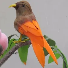 Fake Artificial Small Bird Realistic Taxidermy Natural Home Decor Toy Gift 12cm