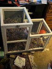 Small Animal Hutch (best If Used By Guinea Pig/small Rabbit)