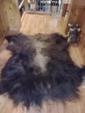 Musk ox: tanned fur pelts for sale