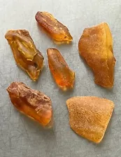 6 Natural Amber Nuggets. Dark Honey Colors. Mixed Shapes. Undrilled. 16.4 Grams.