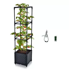 Raised Garden Bed Tomato Planter Trellis for Garden Planter for Tomato Pots f...