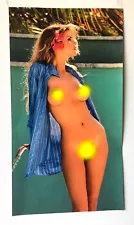 Playmate TERRI WELLES Tropic Paradise Huge Vinyl Poster SEXY