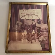 Vintage Framed Photo Boxer Dog Breeder Cute Puppies for Sale Wagon Wheel 8x10