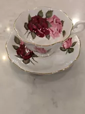 Teacup And Saucer