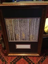 ARTIST CHRISTOPHER BURKETT NATURE AMAZING CUSTOM FRAMING PRINT ASPEN GROVE