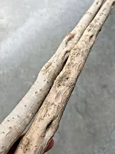 Diamond Willow Cane (2~COLORFUL ðs) Wood CARVING Blank, Walking stick, Spalted