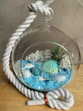 terrarium globes for sale