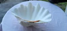 Large Genuine Vintage White Half Clam Shell Real Sea Shell 11.25"X8” Fossil