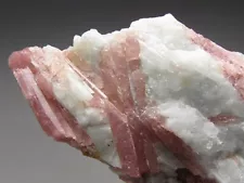 Pink Tourmaline in Quartz, Brazil