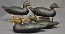 4-Mason STYLE BLACK DUCK duck decoy Darkfeather Freedman 1 -hunting rig 2021