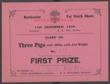 1st Prize Certificate Rochester, Kent Fat Stock Show for best Three Pigs, 1928