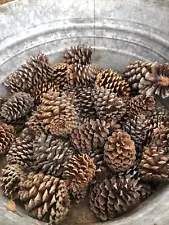 25 Natural pine cones - small/med/large assortment for crafts, decorations