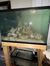 75 gallon saltwater aquarium