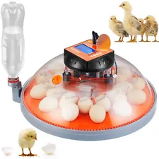 VEVOR Egg Incubator Incubators for Hatching Eggs Auto Egg Turning 24 Eggs