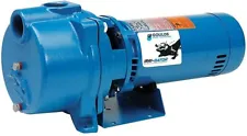 Goulds GT20 2 HP Water Well Irrigation Sprinkler Pump 1PH 230V Self Priming