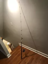 fishing rod and reel combo spinning