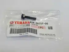 Genuine OEM Throttle Restriction Screw For Yamaha PW 50 Piwee