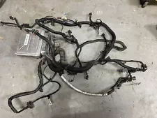 99-02 Camaro Firebird LS1 V8 4L60E Engine PCM Harness