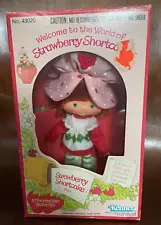 Vintage Kenner Strawberry Shortcake Doll (43020) - NRFB