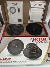 New Listing6.5 pro audio speakers