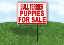 ingles bull terrier for sale