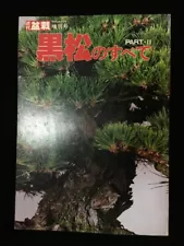 T0864 Japanese BONSAI Photo Book Vintage Explanation Black Pine Interior