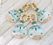 sand dollars for sale